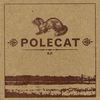 Album - Polecat E.P. (2010)