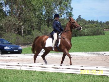 Sydney International Equestrian Center
