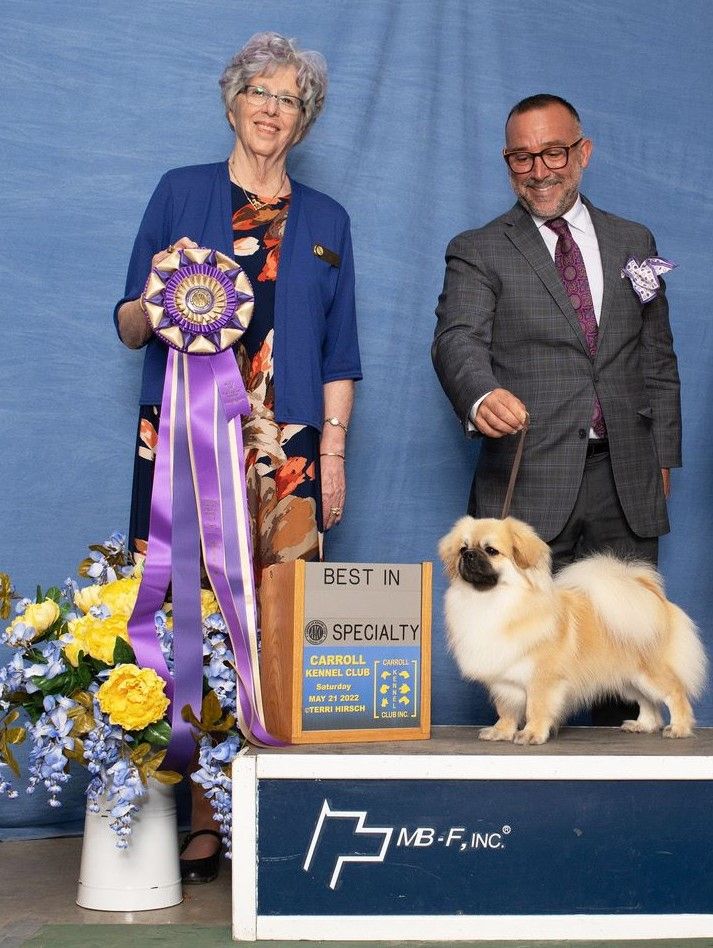 Best of Breed/Group 2: GCHB Arabelle's TheColonel
