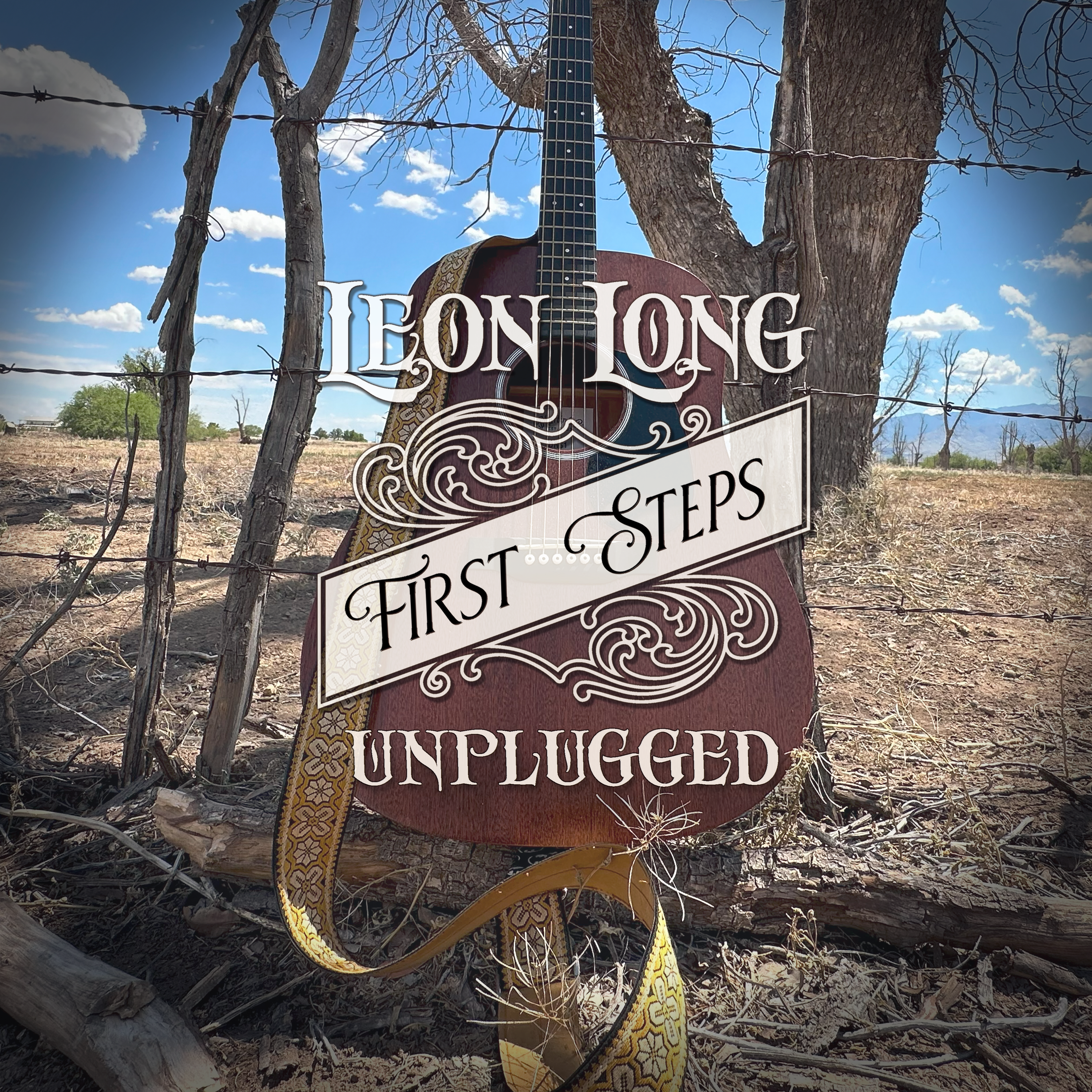Tornado (Acoustic) by Leon Long