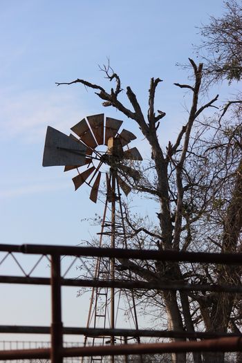 Our Windmill
