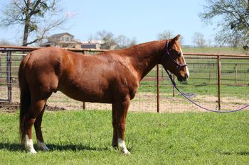 Cowboy 60 days on TE
