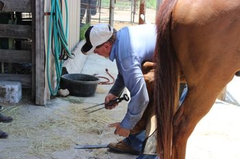Farrier Waylon Goodwin came out to talk about hoof care
