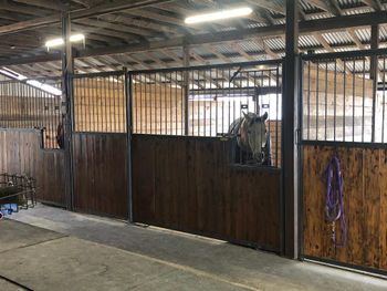 12x20 Stalls with runs
