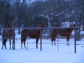 We do get snow in Central Texas
