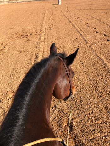 You will not find better ground in Central Texas!
