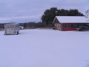 Snow 2011

