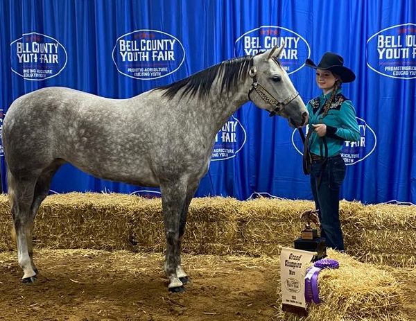 Grand Champion Registered Mares
Bell County Youth Fair 2021