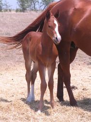 3 Days Old!!!! I knew then he was gonna be IMPRESSIVE!!!!!
