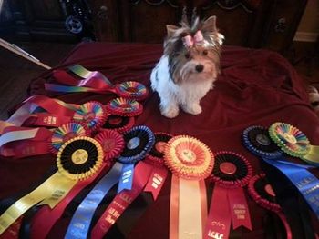 Autum had a good weekend at the show!
