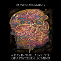 A Day in the Labyrinth of a Psychedelic Mind by Bones:Dreaming