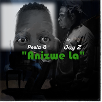 Anizwe La by Peela B & HOV (Jay Z)