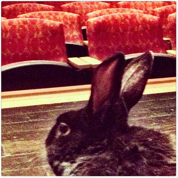 Blue's view from stage at Spruce Peak Performing Arts Center
