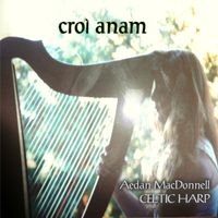 croí anam by Aedan MacDonnell