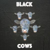 Cow Skin - Black - Herd - Medium