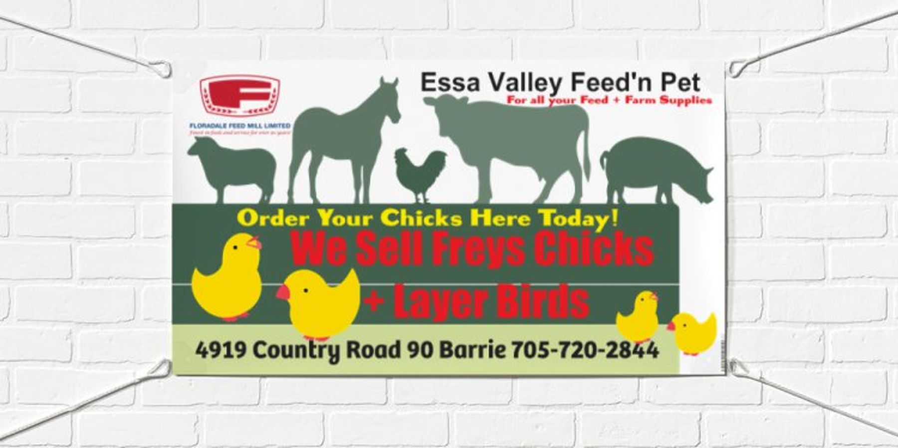 Barrie's Feed, Farm + Pet Store Freys Chick Pricing Sheets