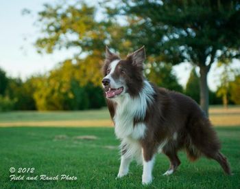 Photo credit Field and Ranch photography
