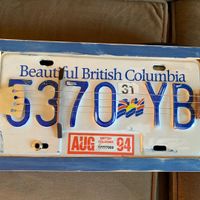 #33 1994 BC License Plate Guitar