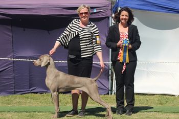 Res Dog CC
Wei Club of ACT
