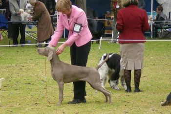 First weekend in Minor Class Best of Breed
