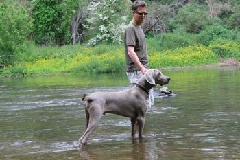 Bromhund On The Ball "Cooper" Owned by Michael & Zena Marzi
