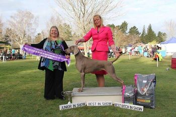 Our 157th Champion Bromhund Xtremely Luscious (AI) "Dixie" Owned by Bromhund Kennels
