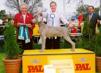 Aust Ch Bromhund Unanimous "Lily" Best in Group Melbourne Royal
