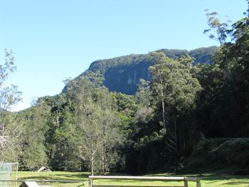 View from the kennels
