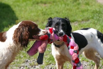 Ann et Leeloo avec le Schum-Tug
