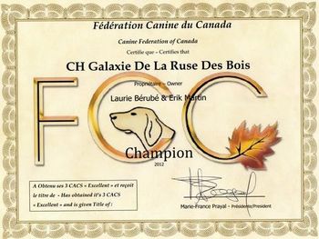 Certficat de Championne -Galaxie
