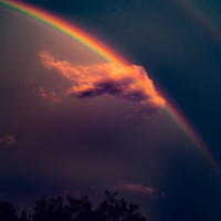 Rainbow in the Sky by Cayle Fall