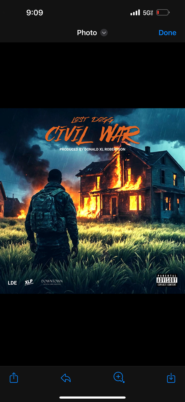 Used to Be by Lost Dogg