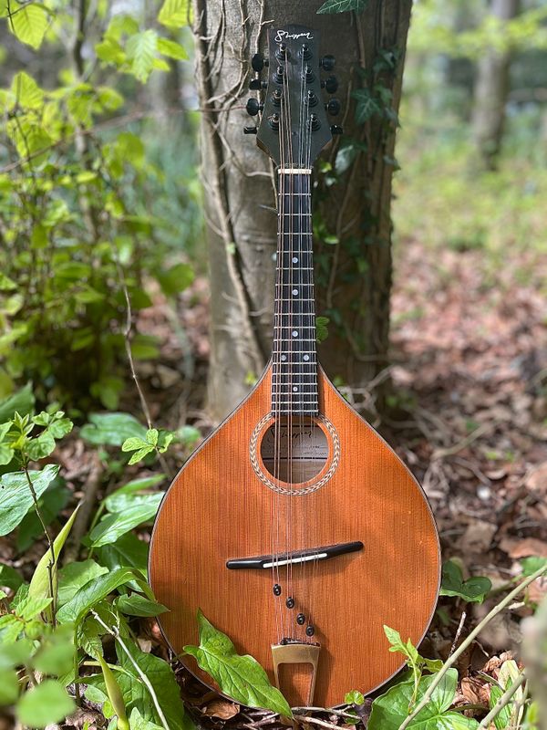 Robin Jones Online Lessons in Irish Bouzouki, Mandolin and Tenor