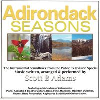 Adirondack Seasons