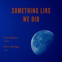 Something Like We Did by Tim Seibles and Chris Brydge