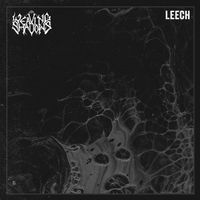 Leech by Weaving Shadows