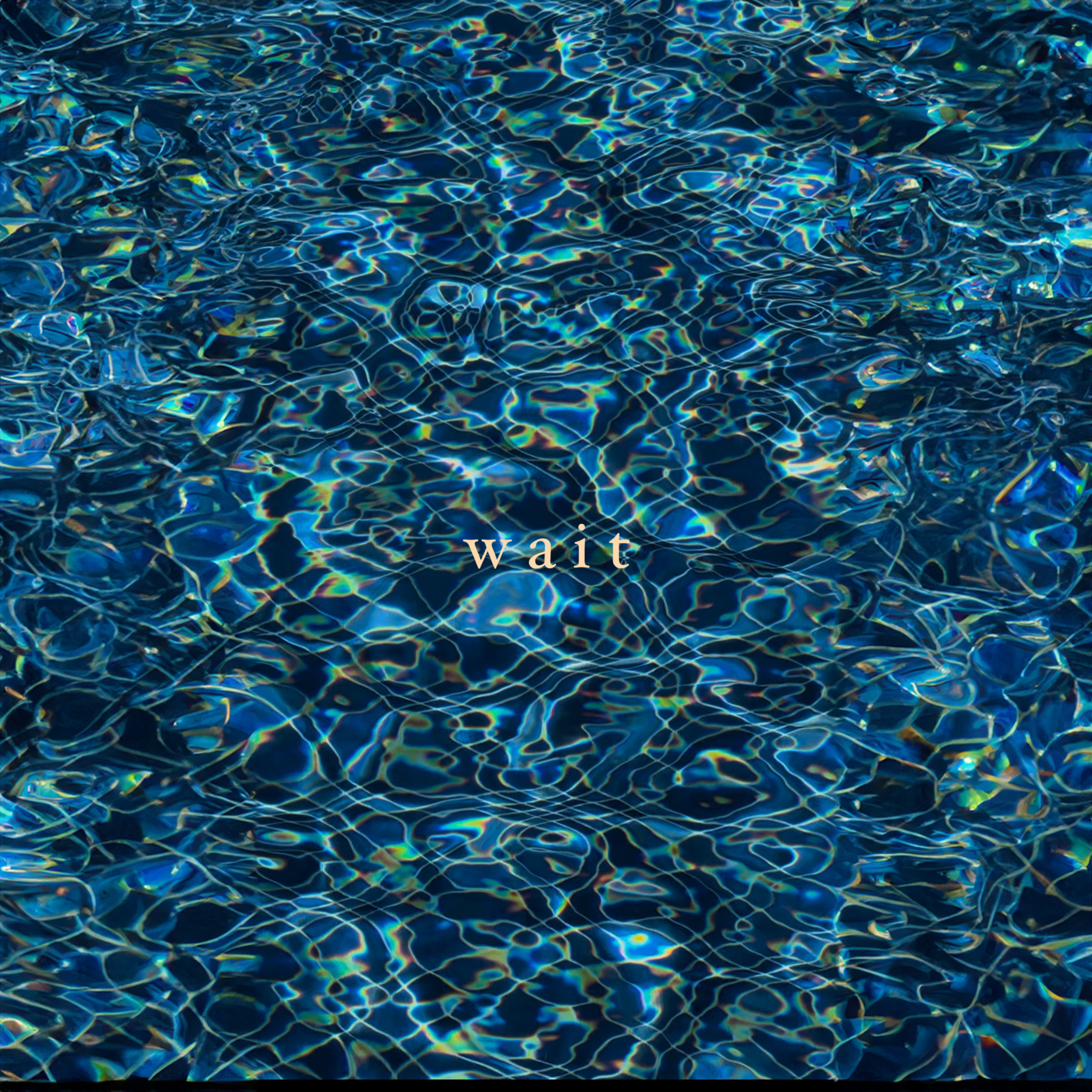 Wait cover artwork