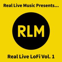 Real Live LoFi Vol. 1 by SANMAN