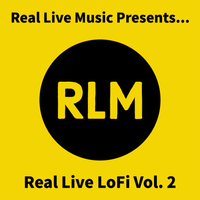 Real Live LoFi Vol. 2 by SANMAN