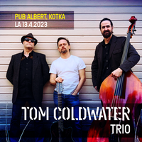 Tom Coldwater acoustic trio @ Pub Albert