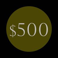 $500 Pledge (ALL OF THE ABOVE + CUSTOM SONG VIDEO!)