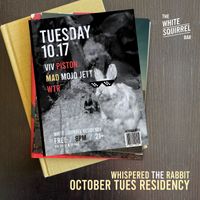 White Squirrel Residency - Week 3