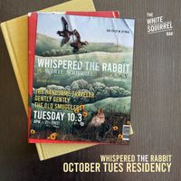 White Squirrel Residency - Week 1