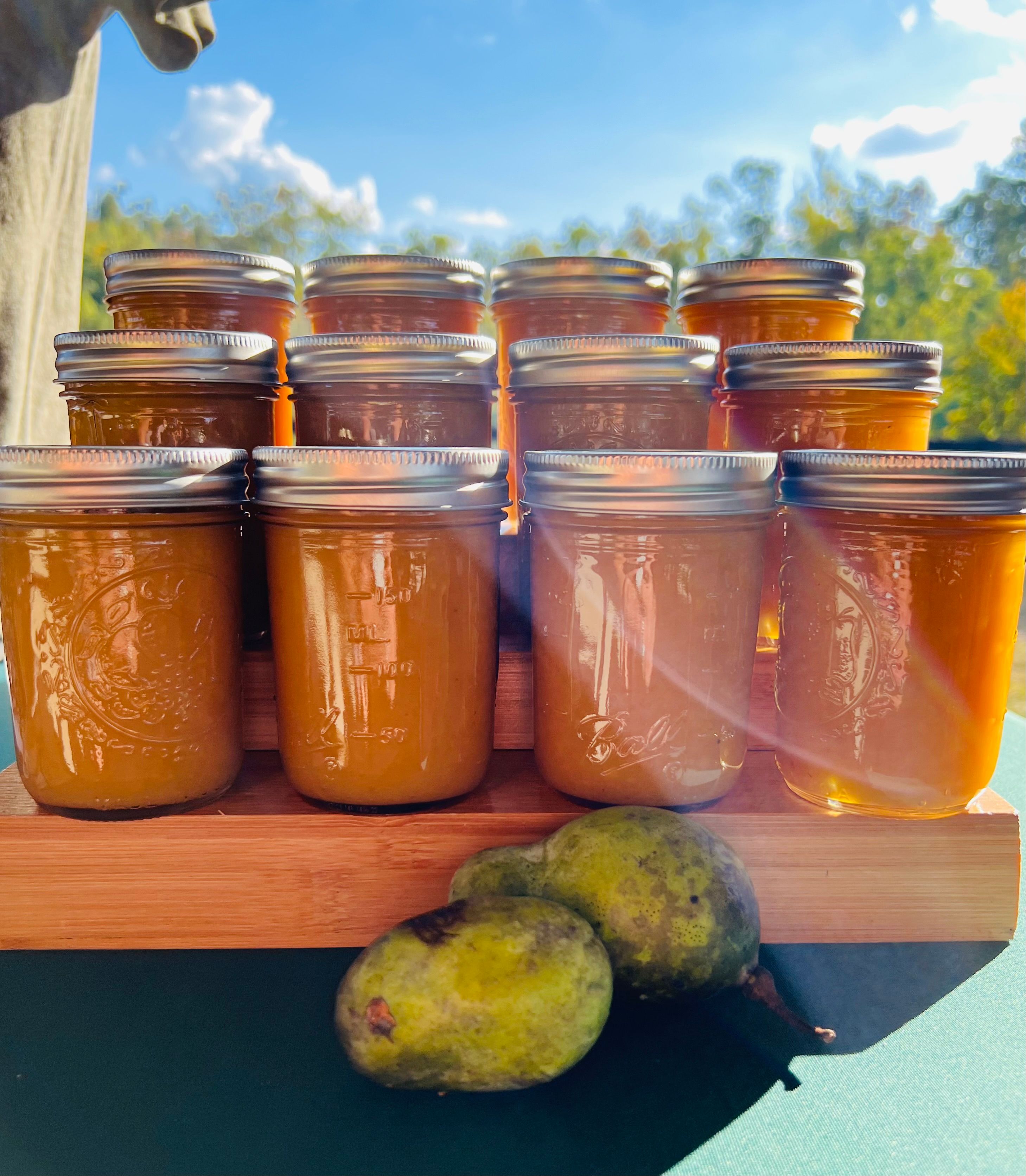 Pawpaw Jam (half pint) - Appalachian Forager Pawpaw Jam (half pint) - Appalachian Forager