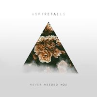 Never Needed You: CD