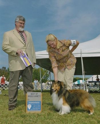 Best of Breed Win
