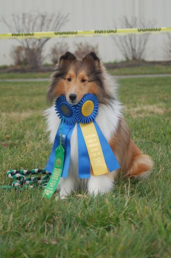 Agility Win and Title!
