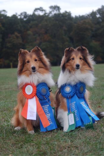 Cheer & Fab...Very Good Baby Girls
