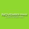NOVEMBER PRAISE (LOOPS & STEMS) (ALL NEW)