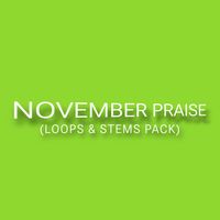 NOVEMBER PRAISE (LOOPS & STEMS) (ALL NEW)